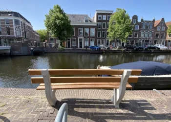 Every home should have a view of a tree, health experts say