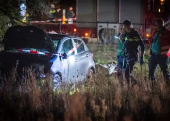 Nine injured as car plows into crowd watching light parade