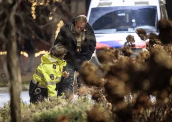 Shock and distress in Nunspeet after parade crash injures nine