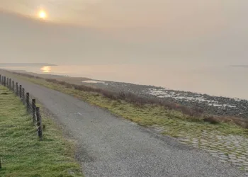 3M to pay Westerschelde businesses over PFAS pollution