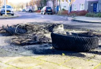 Arrests in Amsterdam over banned Christmas tree bonfire