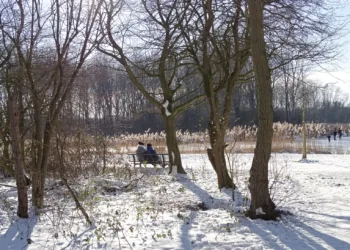 Snow expected nationwide Netherlands in first weekend of 2026