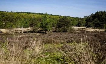 derde droogste jaar van deze eeuw