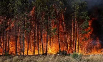 KNMI wil Nederland weerbaarder maken voor extreme (weer)situaties