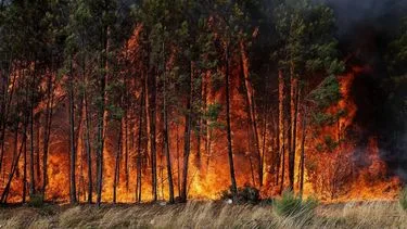 KNMI wil Nederland weerbaarder maken voor extreme (weer)situaties