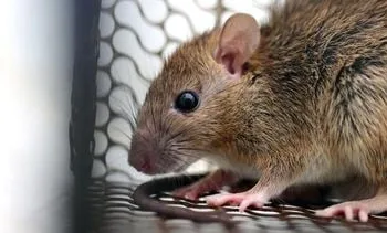 dit kun je er tegen doen