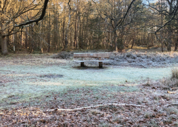 Sunny but bitterly cold Christmas, milder weekend with cloud