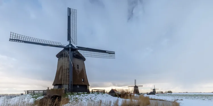 From heatwaves to heavy frost: NL must ready for extreme weather