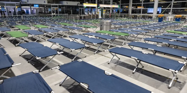 Code amber across most of NL as winter weather disrupts travel