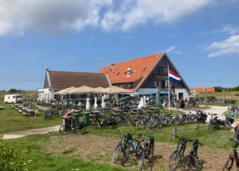 Spending in cafes goes up, but financial problems remain