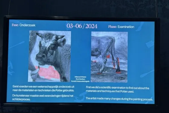 Not a load of bull: Classic painting once showed larger genitals