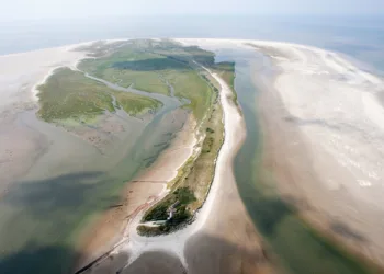 Car container ship stranded in Wadden sea after engine fire