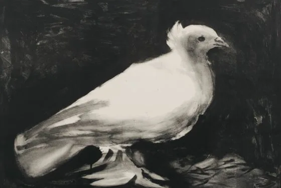 Dordrecht to Boom Chicago: 10 great things to do in February