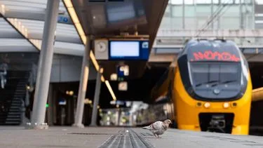 Vanaf deze dag verwacht de NS een normale treindienstregeling