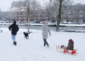 Heavy snow stops flights, commuters urged to head home early