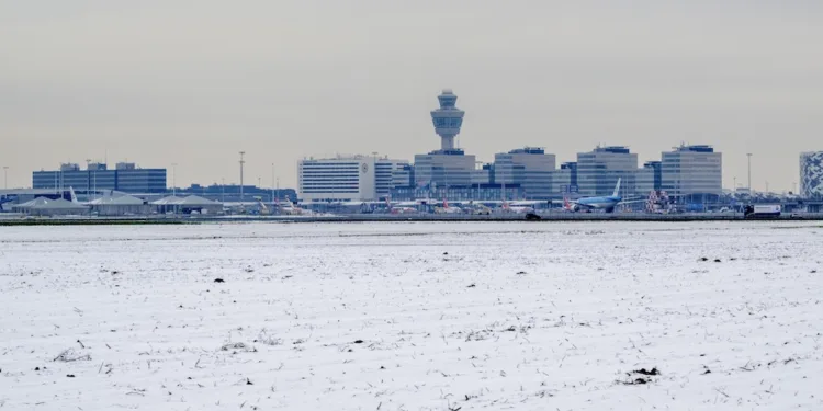 More flights scrapped at Schiphol as bosses pledge improvements