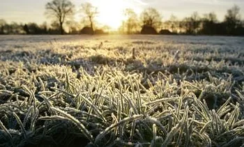 Dit wordt het weer in Oost-Nederland komende week