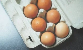 Eieren zijn duurder, dit is waarom