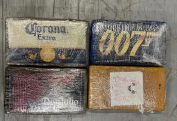 Nearly 500kg of cocaine found in cargo of mangoes in Rotterdam
