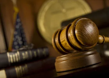 Court sentences cat killer to compulsory psychiatric treatment