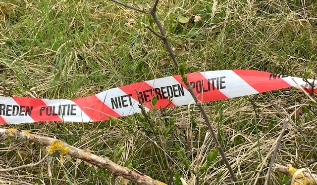 Murdered Syrian teens may have been random victims, police say