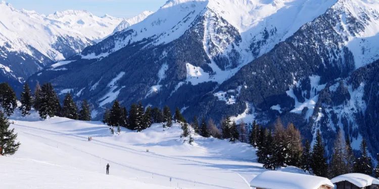 Skiing injuries rise sharply this season, help centre says