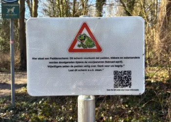 Runners in The Hague turn annual toad migration into “bloodbath”