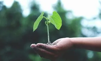 Dit staat Nederlanders in de weg om duurzamer te leven