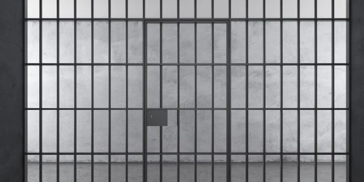 Jail agency considers tablets with softcore porn for prisoners