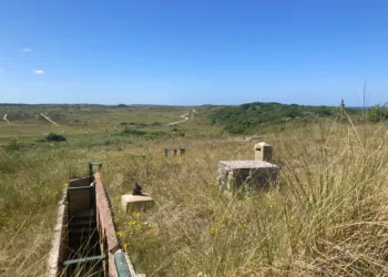 Goals for nitrogen cuts in nature areas will not be met: report