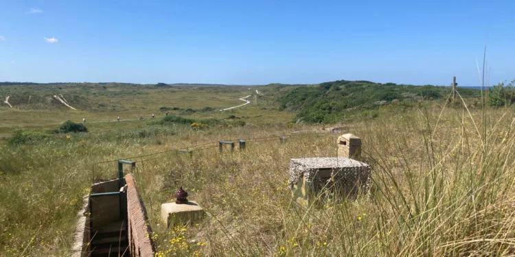 Goals for nitrogen cuts in nature areas will not be met: report