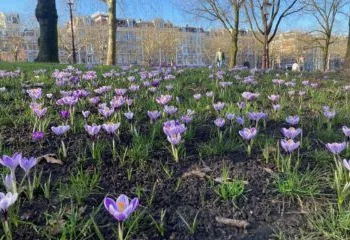 The best of this week’s weather is on Wednesday, at up to 18°