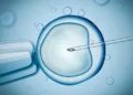 Fertility clinic used “old sperm” and lied about it: Nieuwsuur