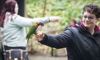 Onderzoek naar mogelijke vogelgriep in Wildlands Emmen