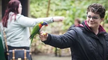 Onderzoek naar mogelijke vogelgriep in Wildlands Emmen