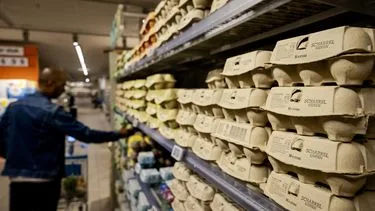 zo hard zijn eieren in prijs gestegen