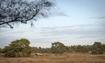 Stikstof daalt niet hard genoeg: Nederland moet meer doen