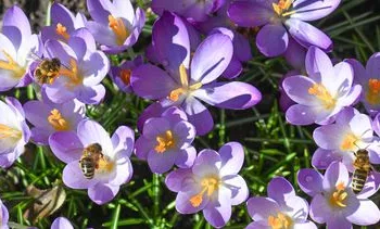 Herfst komt de lente even verdringen: regenkleding uit de kast
