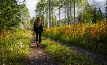 hoe natuur je mentale gezondheid boost