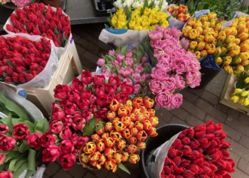 Summer is heading our way next week, and Easter will be sunny