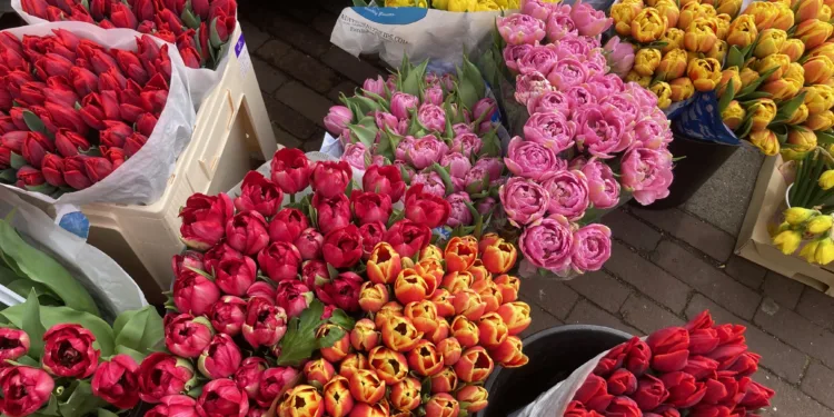 Summer is heading our way next week, and Easter will be sunny