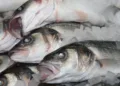 Two out of three fishmongers don’t comply with food safety rules