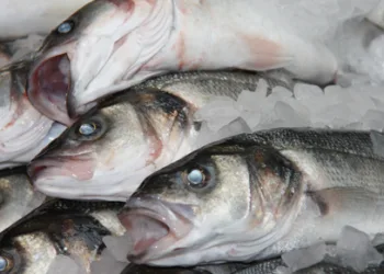Two out of three fishmongers don’t comply with food safety rules