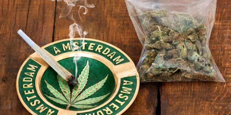 Cannabis is drug most used by drug drivers, blood samples show