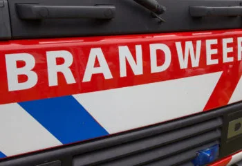 Firefighters tackle large wildfire in The Hague coastal dunes
