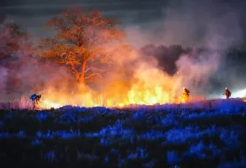 Next few hours crucial in battle to contain Gelderland wildfire