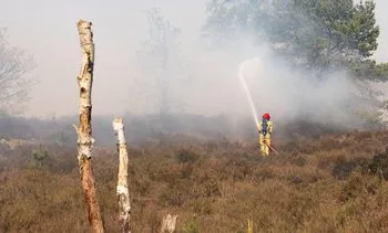 Asielzoekerscentrum Budel volledig ontruimd om natuurbrand