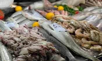 ‘Kan van een 6 naar een 9’