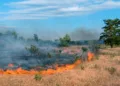 Army base fire was caused by explosives during training exercise