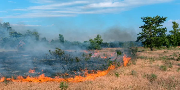 Army base fire was caused by explosives during training exercise